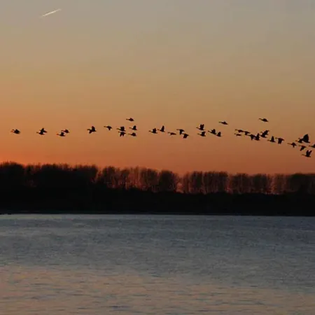 Hébergement de vacances Fh Wiesenkieker